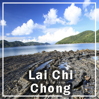 Lai Chi Chong