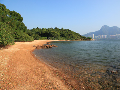 沿海步道