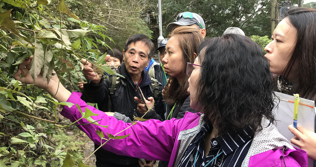 草本植物實地考察